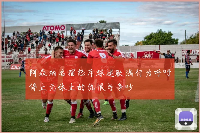 阿森纳名宿怒斥球迷肤浅行为呼吁停止无休止的仇恨与争吵